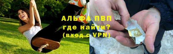 крисы Куйбышев