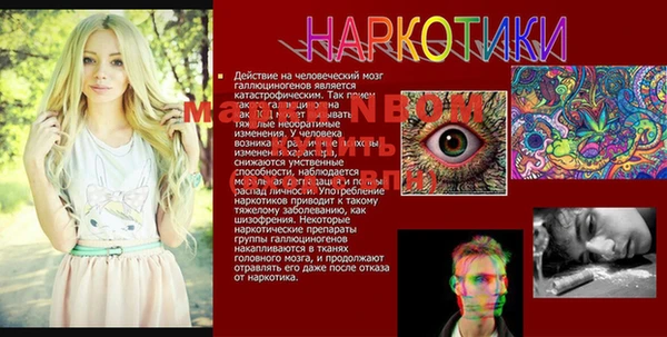 стаф Кулебаки