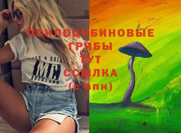 стаф Кулебаки