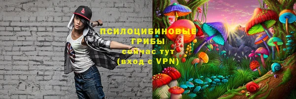 стаф Кулебаки