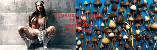 крисы Куйбышев