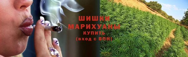 крисы Куйбышев